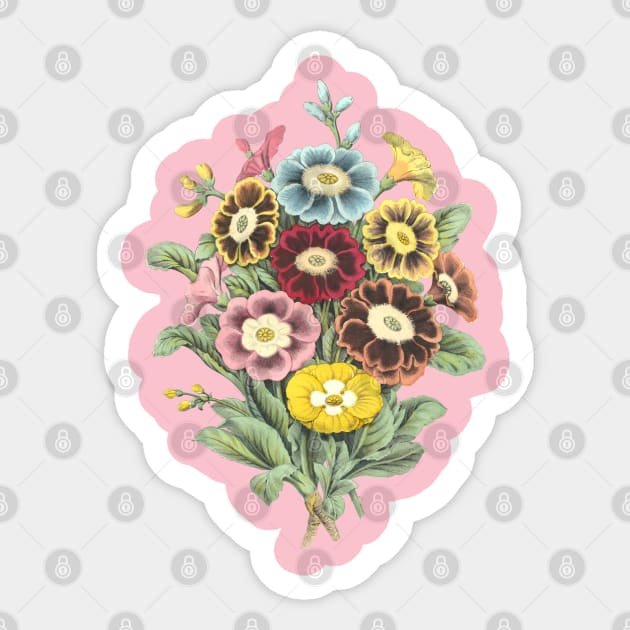 Primrose Flower Bouquet Vintage Botanical Illustration Sticker by Biophilia